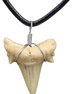 Natural Shark Tooth Necklace for Men, Genuine Fossil Shark Teeth, Cool Sharktooth Beach Necklaces for Women, Beachy Surfer Choker Jewelry