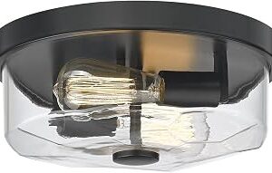 Flush Mount Ceiling Light with Clear Glass Shade, 2-Light Indoor Outdoor Farmhouse Lighting Flush Mount Lights for Kitchen Bedroom Porch Living Dining Room(Black)