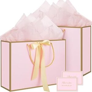 woric Pink Gift Bags with Handles, 14 Medium Gift Bags with Tissue Paper, 2 Pcs Pink Bags with 4 Tissue Paper and 2 Cards for Baby Shower Wedding Bridal Shower Mother's Day Birthday Party