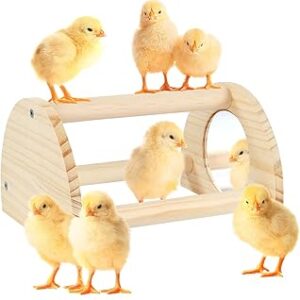 Pine Chicken Perch with Mirror, Strong Chick Jungle Gym Roosting Bar, Chicken Toys for Coop and Brooder, Training Perch Toys for Large Bird, Parrot, Macaw, Hens (Small)
