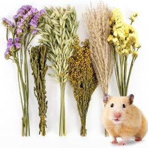 Sukh 42Pcs Herb Bedding Habitat Decor - Natural Flower Hamster Mate Herbs Sprays Cage Safe Pet Accessories Decorations Hideout for Hamsters Mouse Guinea Pig Dwarf Gerbils Syrian Mice