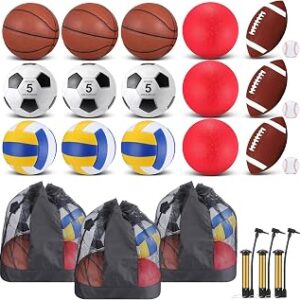 Leyndo 18 Pcs Sport Balls Bulk Set Basketball Football Volleyball Soccer Playground Baseball with Sport Equipment Bag Pump for Adults Gifts Outdoor Indoor