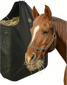 Kavallerie Horse Hay Bag, Oversized 19x12x20” Hay Bag with Mesh Sides, Easy-Fill Snap Closure & Round Feed Hole, Ideal for Stables, Trail Rides & Transport