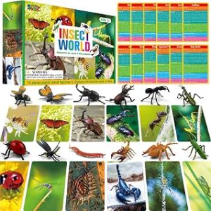 12 PCS Plastic Insect Figurines with 12 Introduction Flashcards, Small Creature Learning Recognition Cards Realistic Bug Models Educational Learning Toy Set for Kids, Classroom